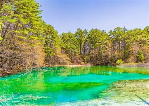 東北龍捲風之手|前進日本東北自然美景！福島、宮城、山形、岩手、秋田、青森的。